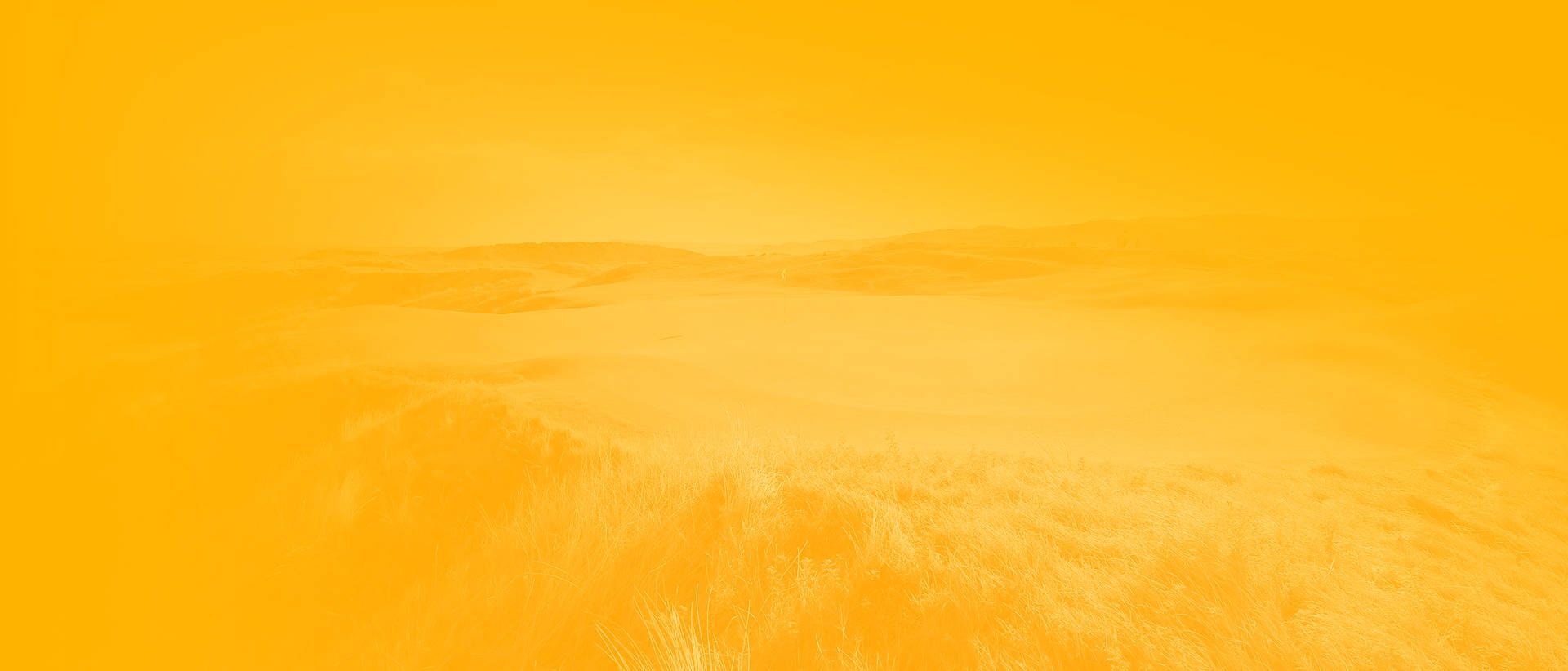 Promo Panel bg yellow 1